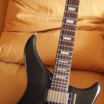Clive Gregory's Epiphone ME2